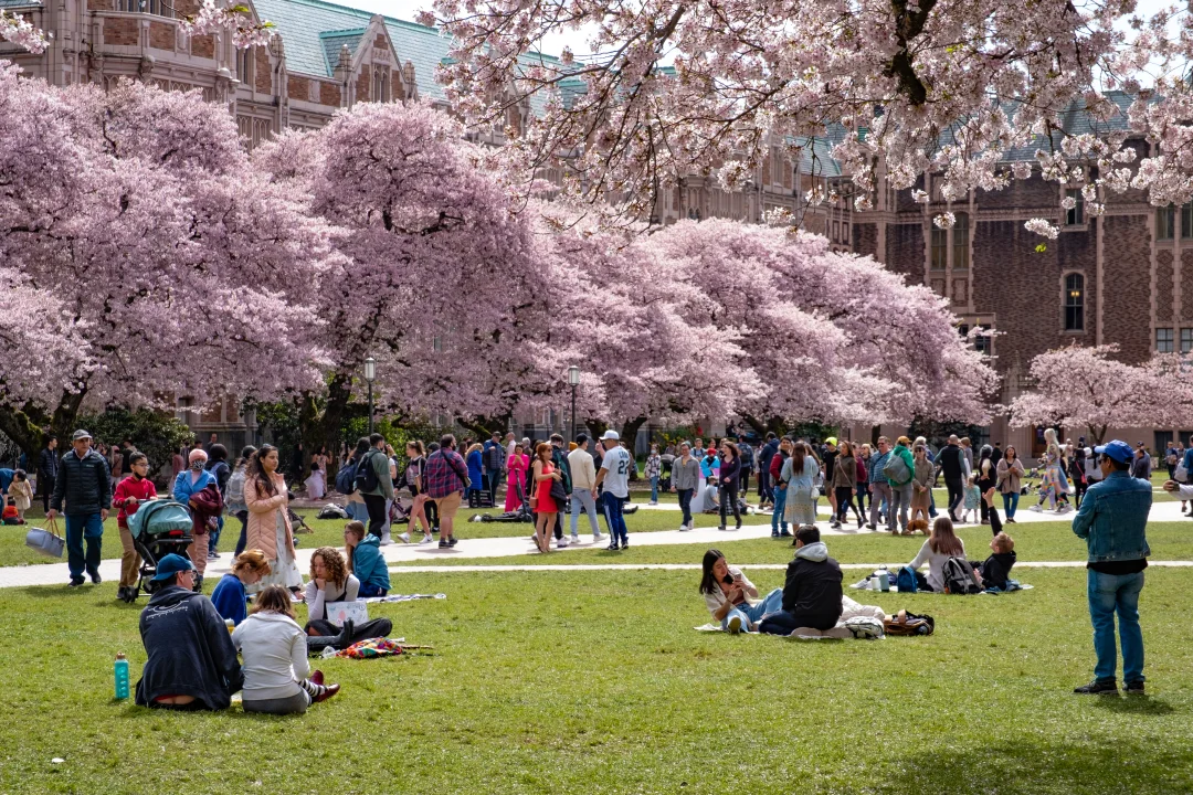 People having a picnic at the University of Washington campus