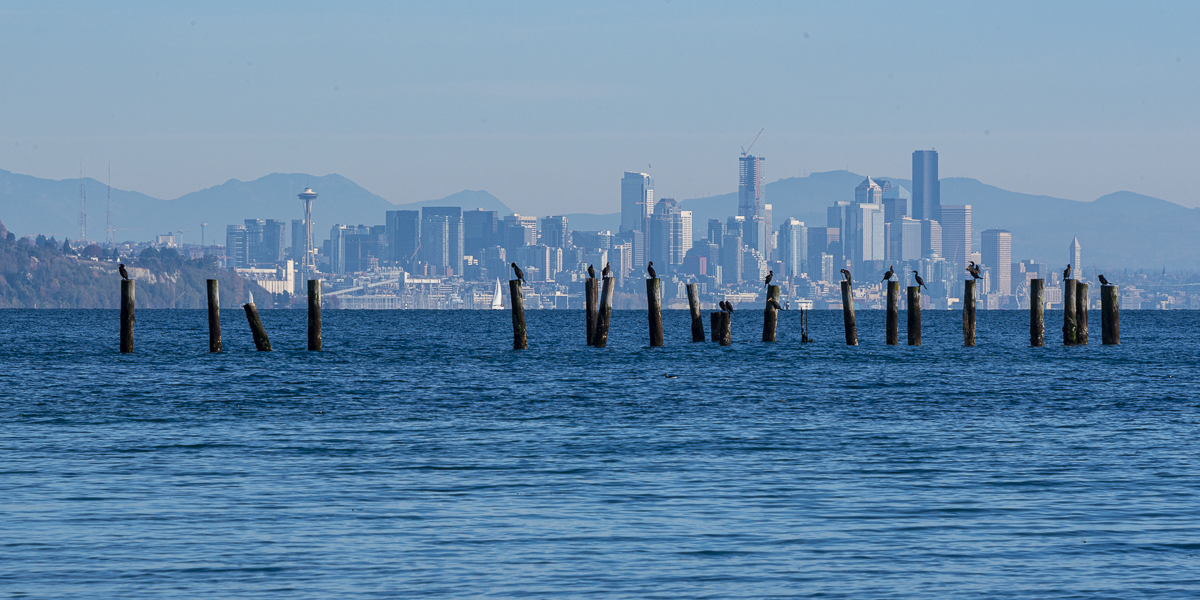 Photo of Puget Sound